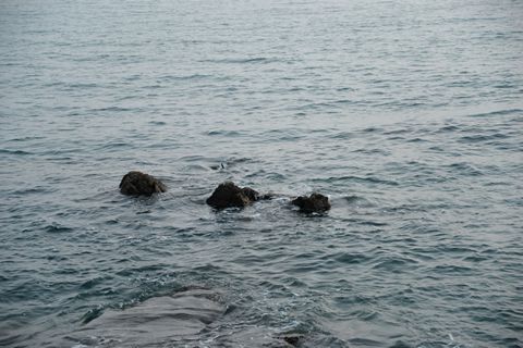 無法掌控命運，就掌控內心