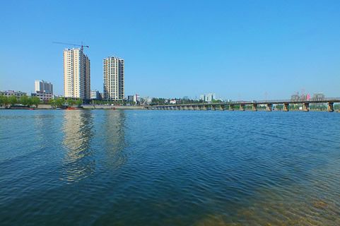 『隨華全，觀天下』 ——走進(jìn)河南內(nèi)鄉(xiāng)