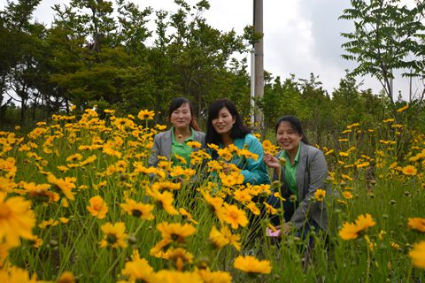 大乳山游記之一： 長江路，讓心情在這里“撒歡撂跤”