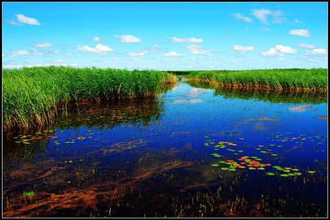 大功率機(jī)組一下子購(gòu)兩臺(tái)，這家公司真的夠“豪氣”！