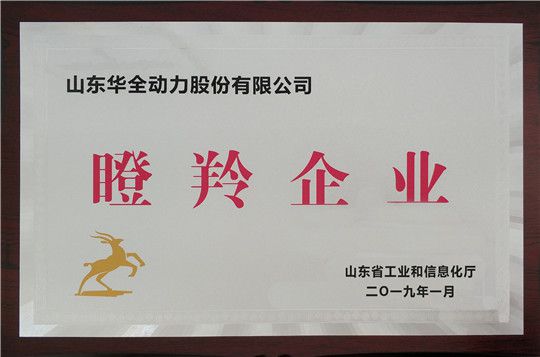 華全集團被評為山東省瞪羚企業(yè)
