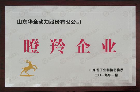 華全集團被評為山東省瞪羚企業(yè)