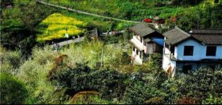 華全發(fā)電機(jī)組竟藏在民宿當(dāng)中，你發(fā)現(xiàn)了嗎？