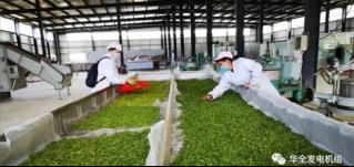 用電炒茶！華全800kw集裝箱發(fā)電機(jī)組發(fā)往大山深處